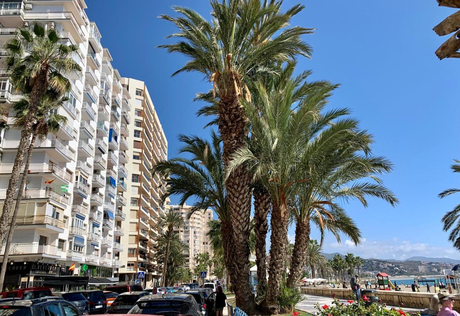 Estudio En Playa La Malagueta มาลากา ภายนอก รูปภาพ